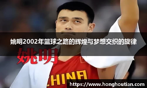 姚明2002年篮球之路的辉煌与梦想交织的旋律